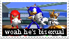 Sonic the Hedgehog saying, 'Woah, he's bisexual